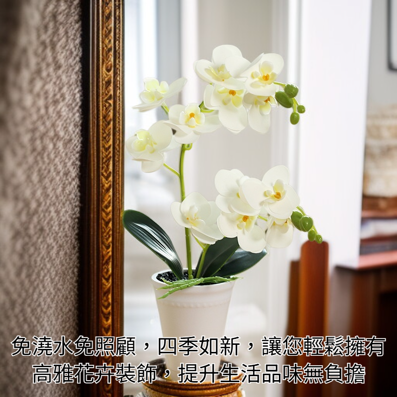 蝴蝶蘭盆景仿真花優雅家居擺設