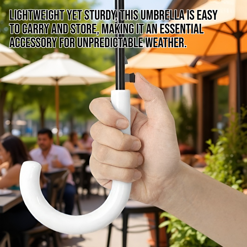 Clear umbrella with sturdy long handle and modern design