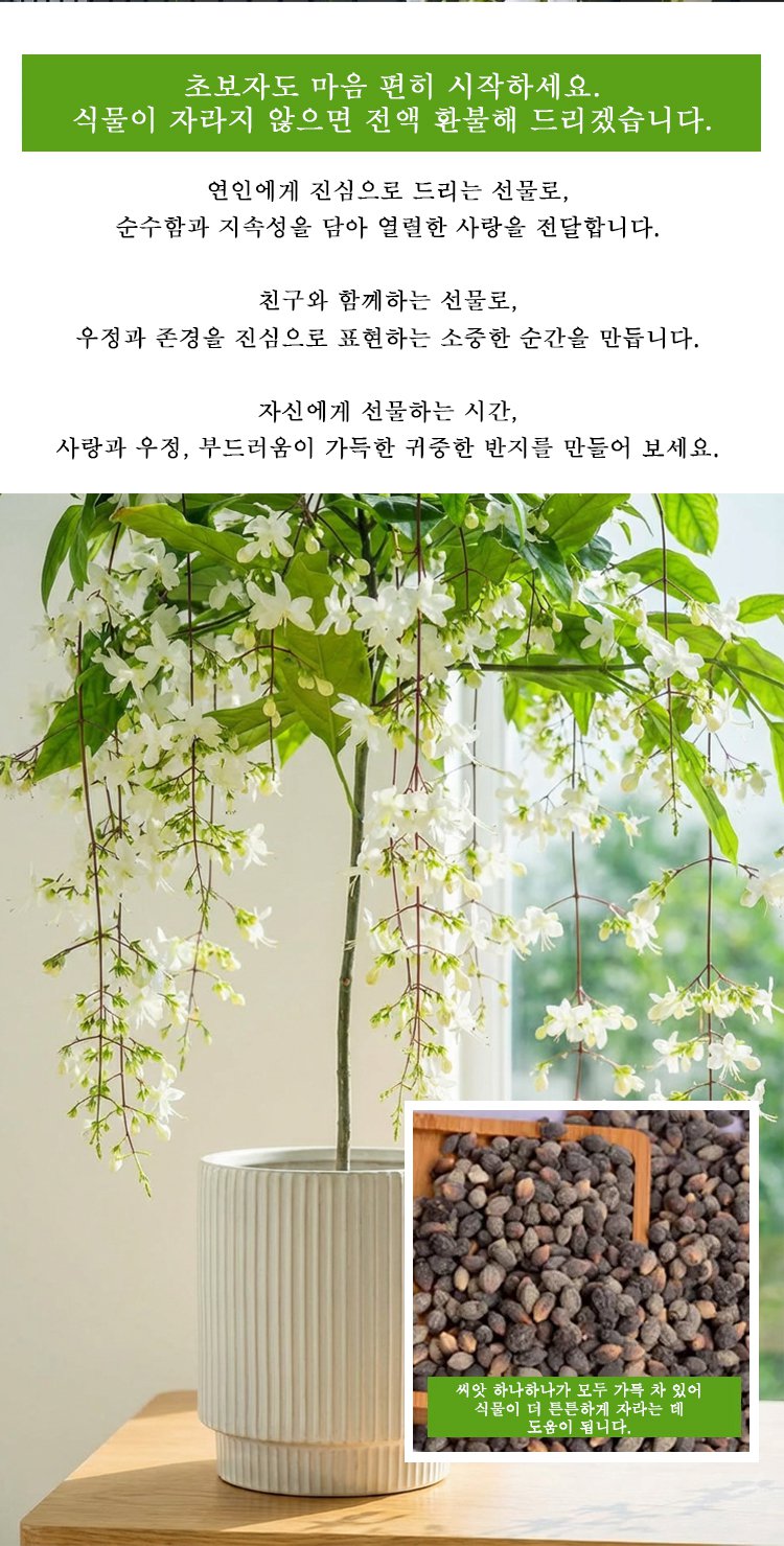 花_21.jpg