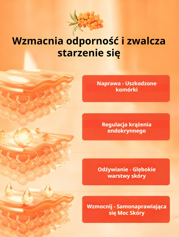 Poster Promotion Translation.png