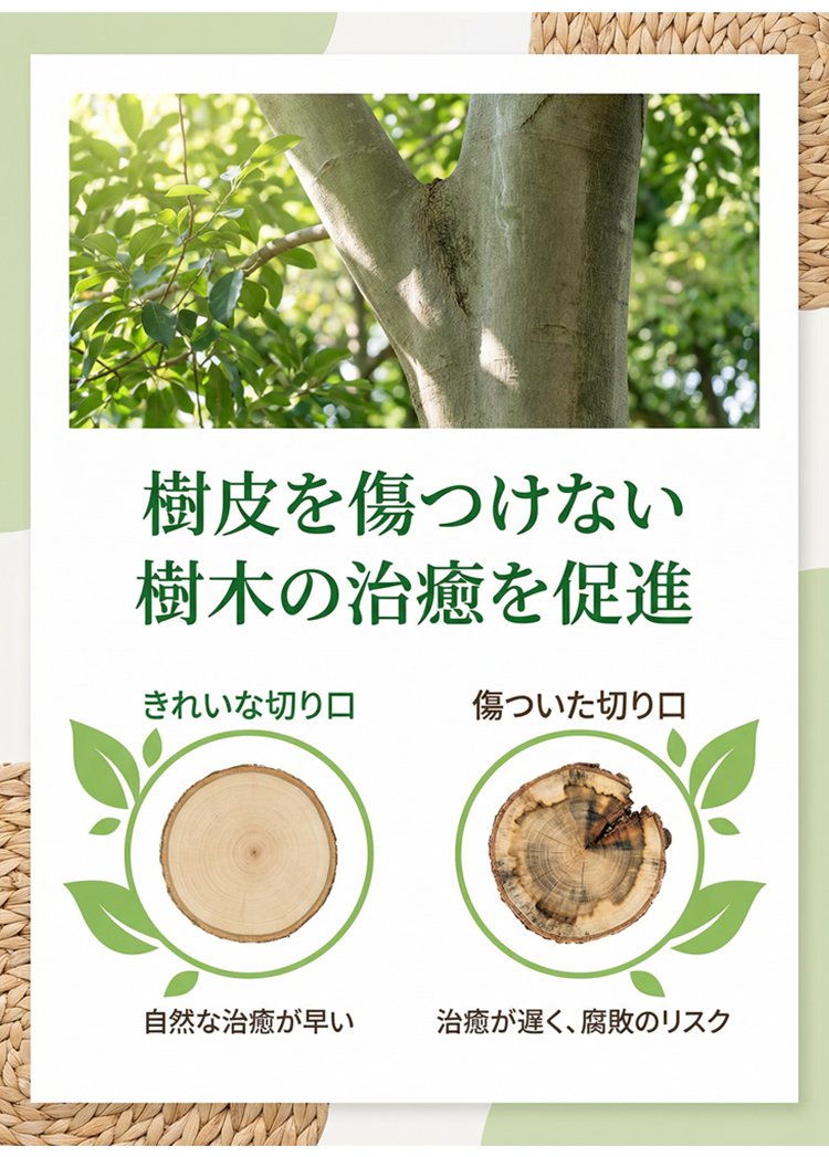 未标题-11_06.jpg