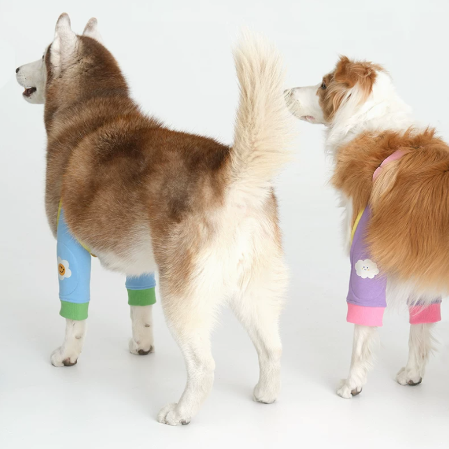 中型・大型犬用ひざサポーター