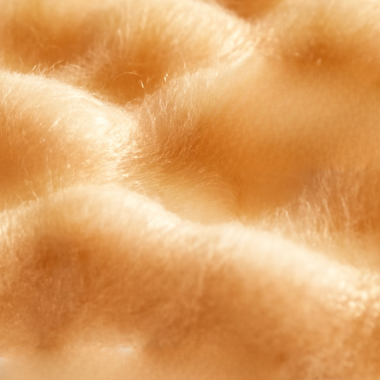 b80b055fe191cae8649e063de26f9fb1.png