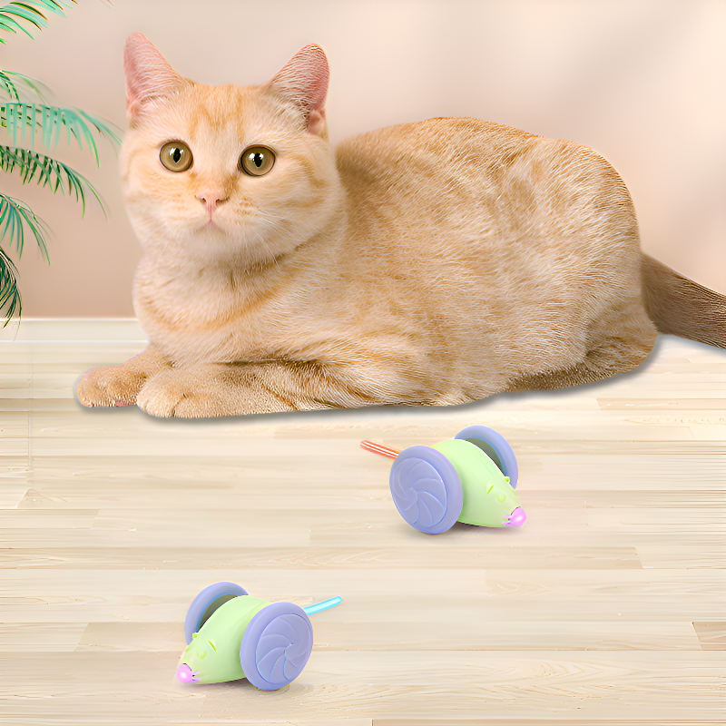 Smart Rolling Cat Teaser Toy