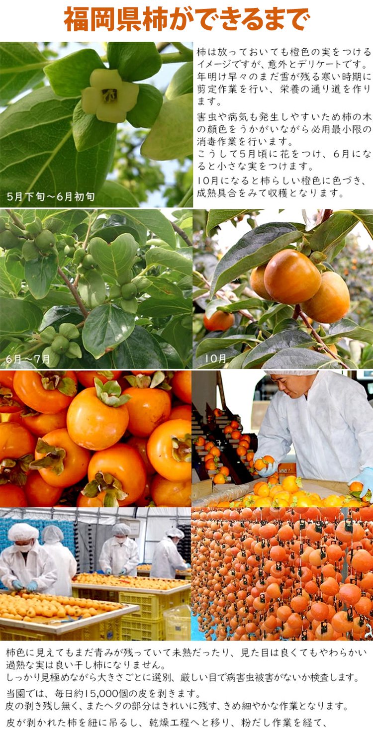 JC-农家霜降流心柿饼_20.jpg