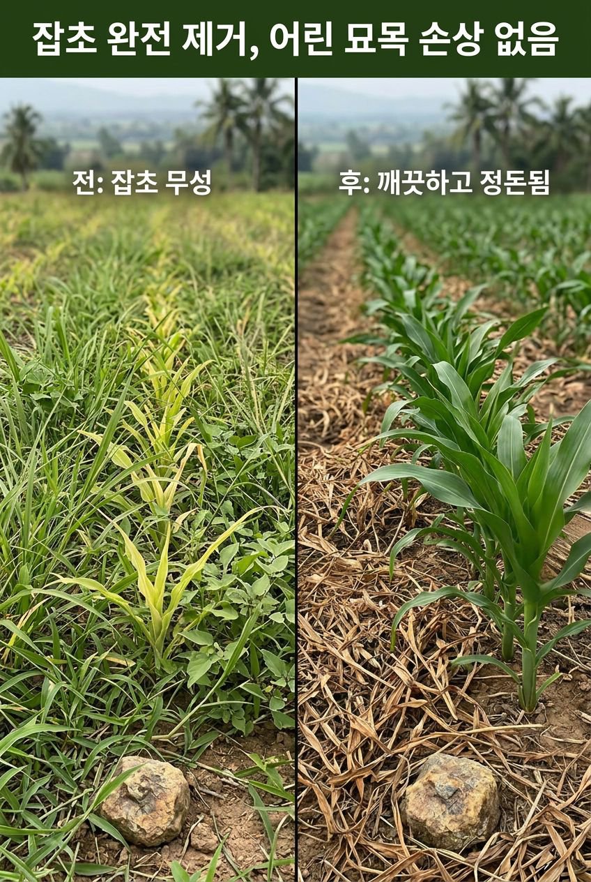 韩国本地化落地页8.jpg