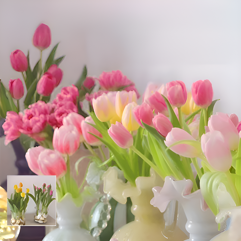 Tulip bulbs hydroponic flowers