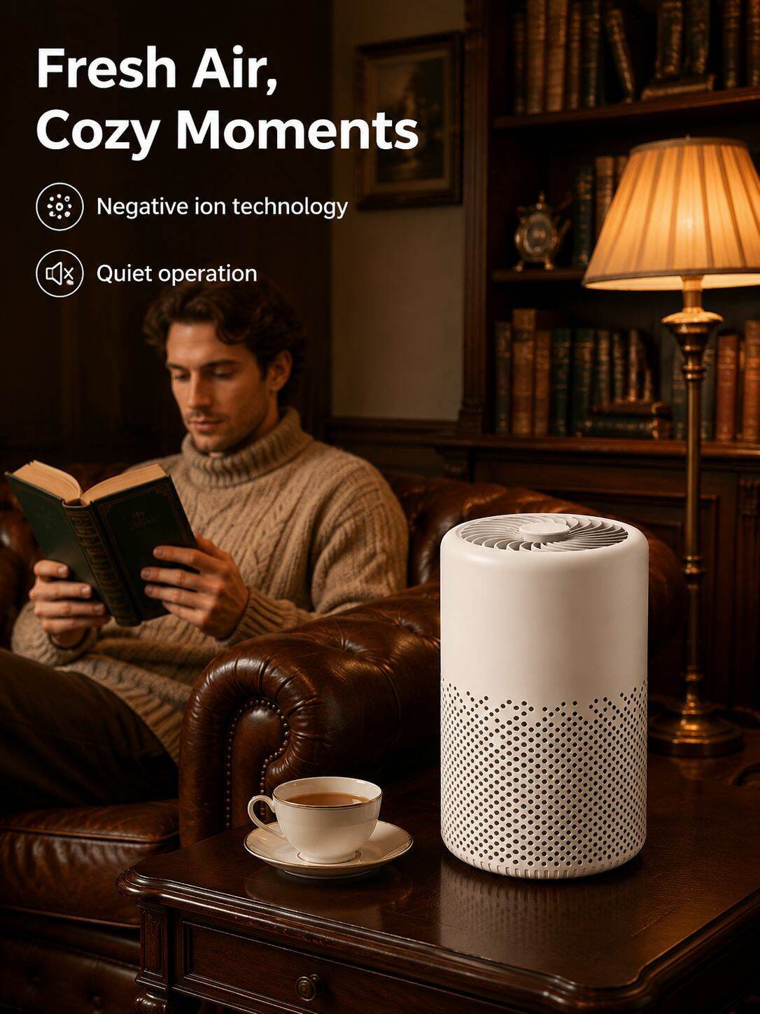 Negative Ion Air Purifier