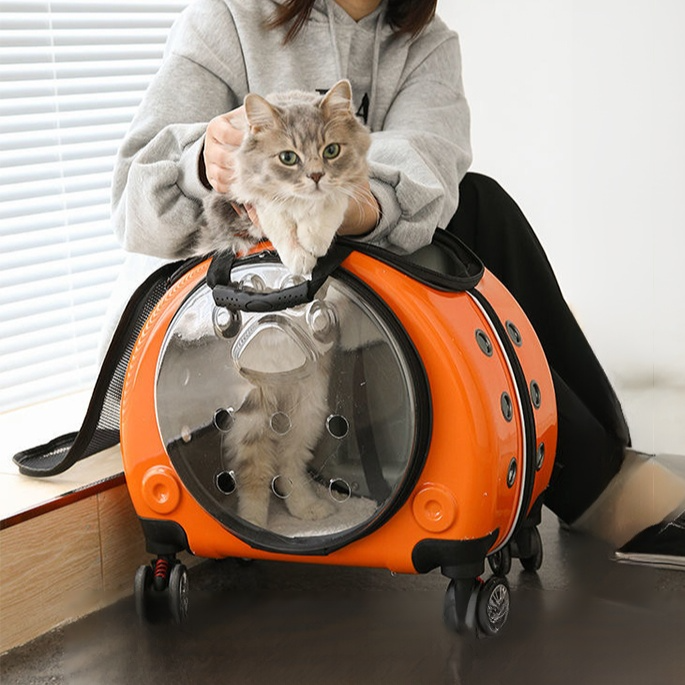 Portable Pet Trolley Case