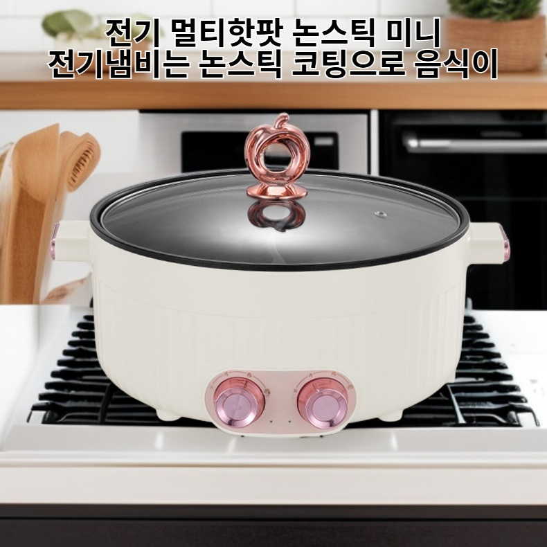전기 멀티핫팟 논스틱 미니 전기냄비