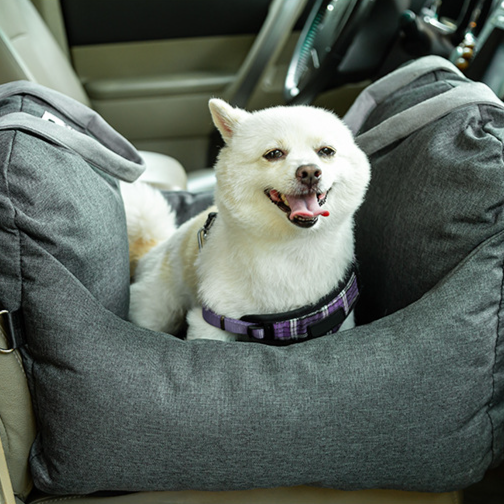 เตียงสัตว์เลี้ยงอเนกประสงค์