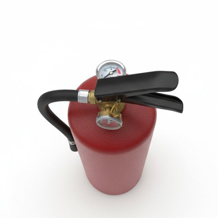 차량 화재 진압 중인 소화기 모습