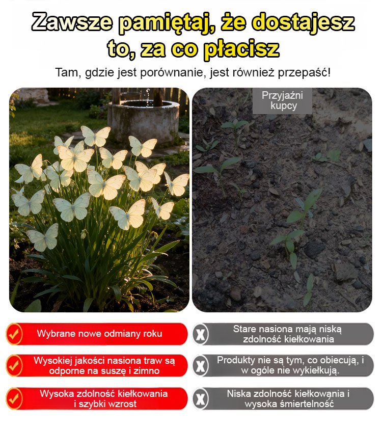 Nasiona Księżycowego Motyla