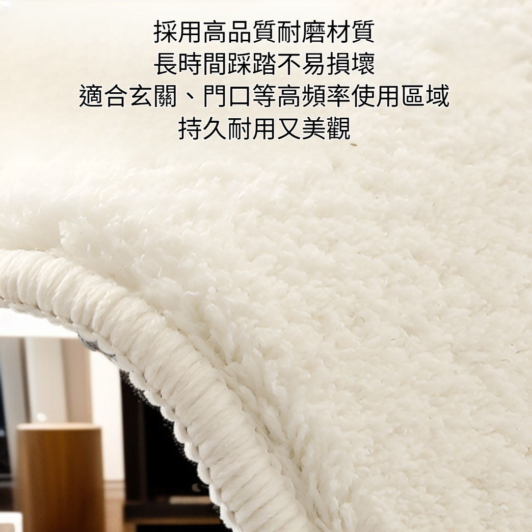 入戶耐磨吸水地毯