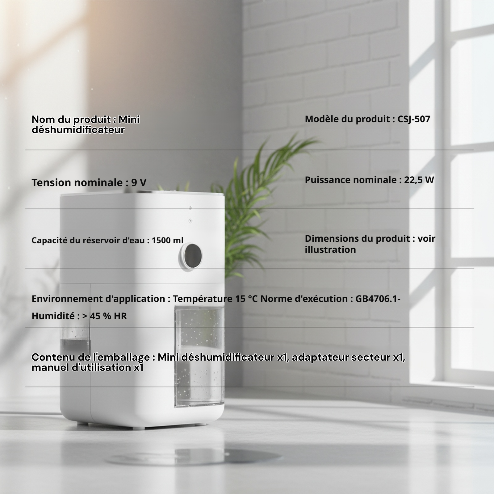 Déshumidificateur domestique mini pour chambre, anti-humidité intérieur