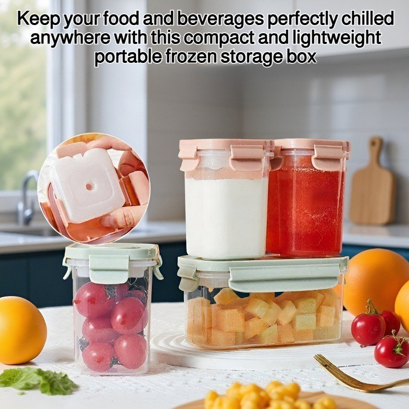 Portable Frozen Storage Box