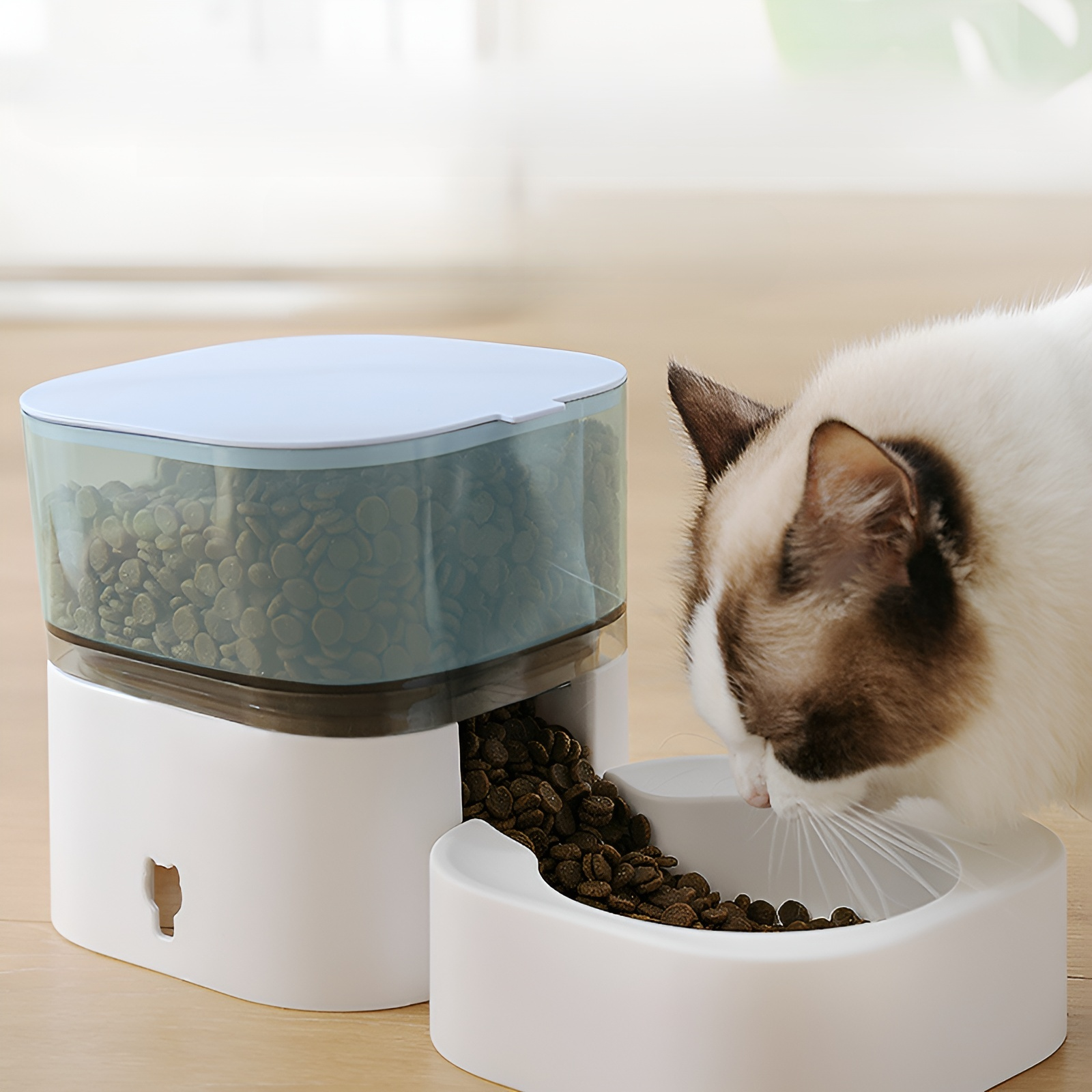 Neuer automatischer Futterspender (für Hunde)