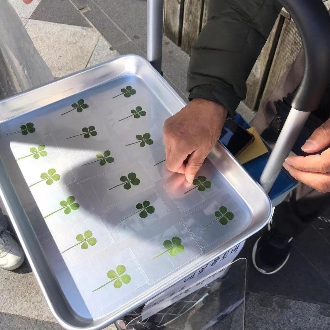 幸運四葉草透明卡片壓克力許願書籤