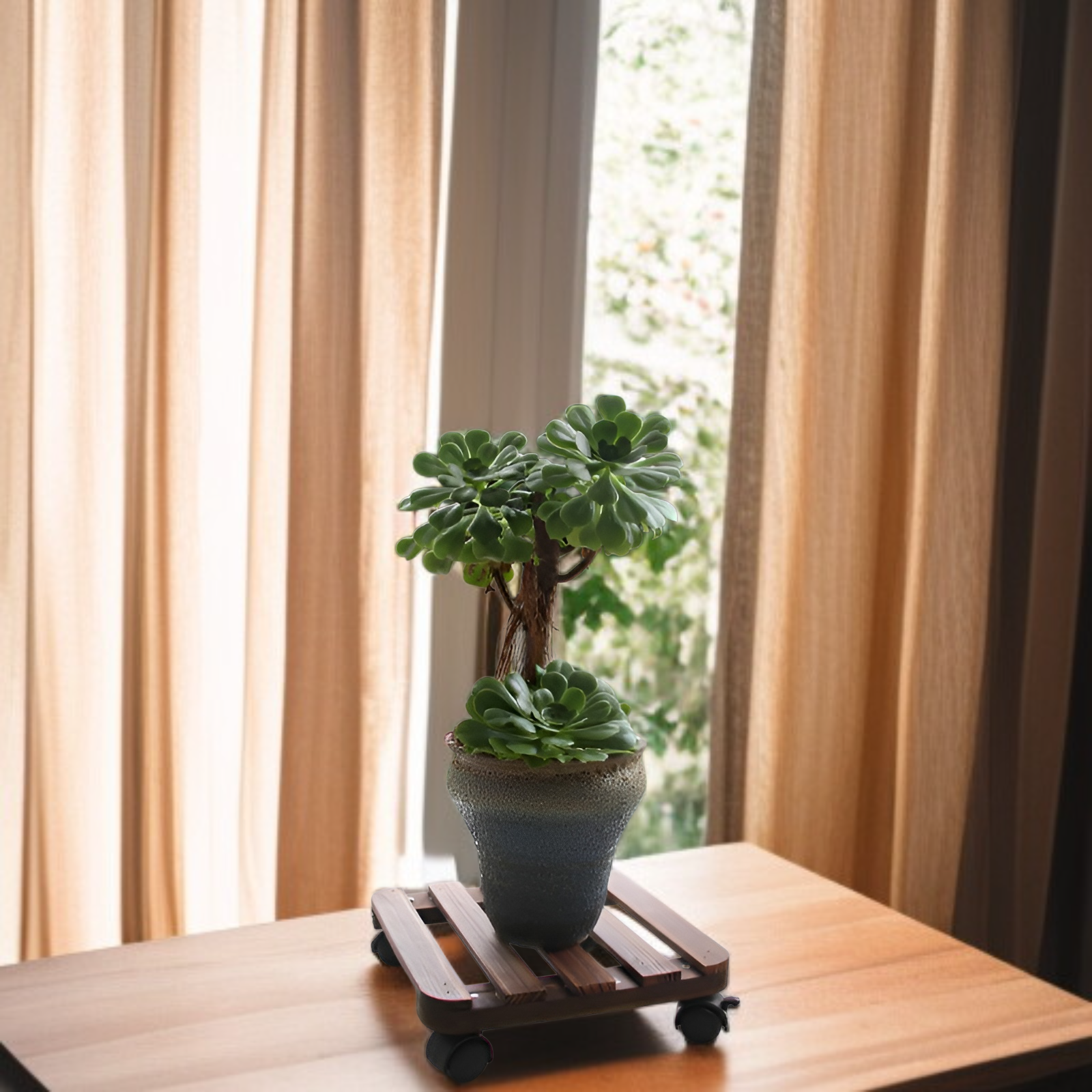 ถาดรองกระถางดอกไม้ไม้เนื้อแข็ง