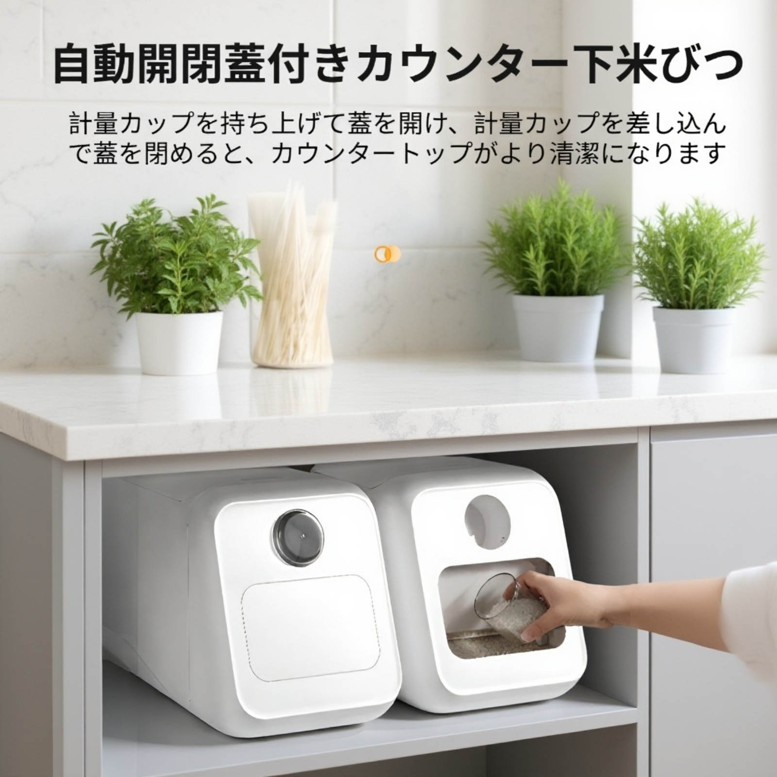 自動開閉米びつの外観写真