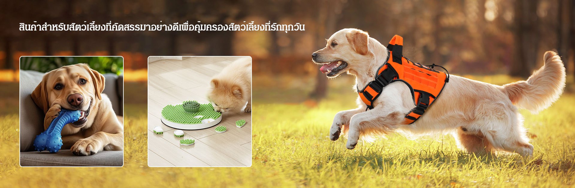 ศูนย์การค้าออนไลน์