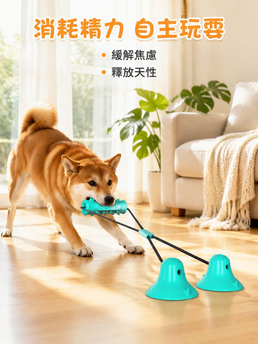 狗狗雙吸盤拉繩玩具