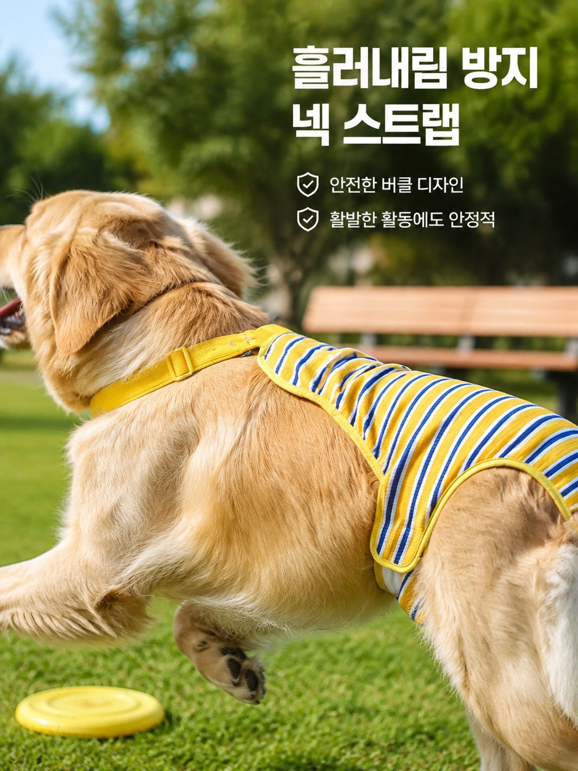 암캐 생리바지 래브라도 생리팬티