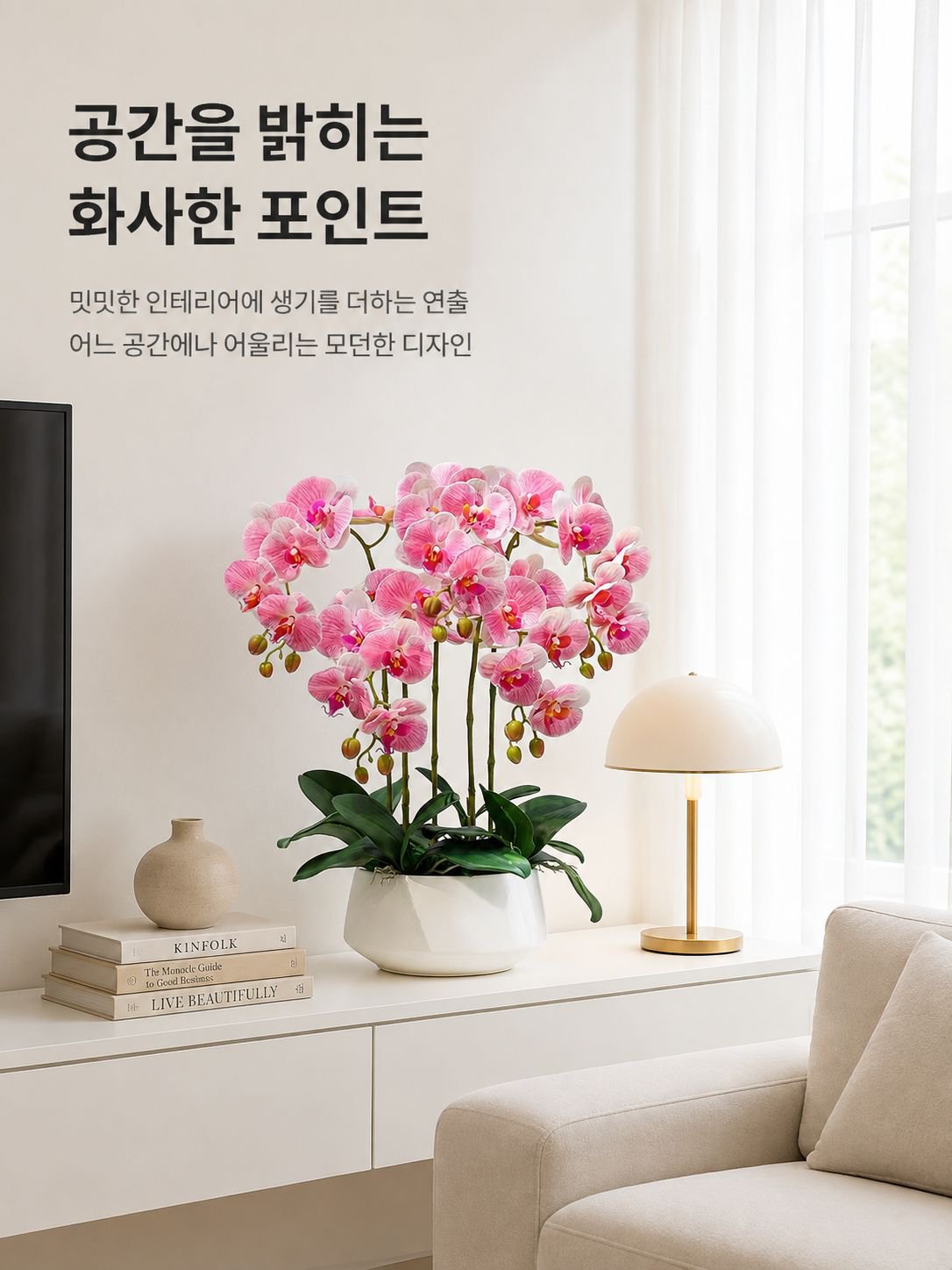 팔레노프시스 난초 실내 식물