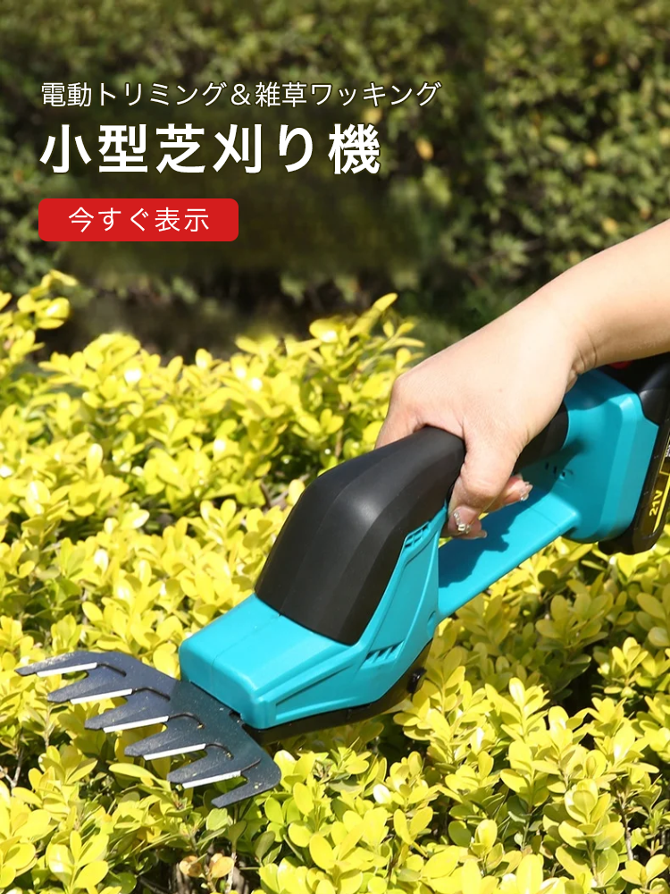 オンラインストア