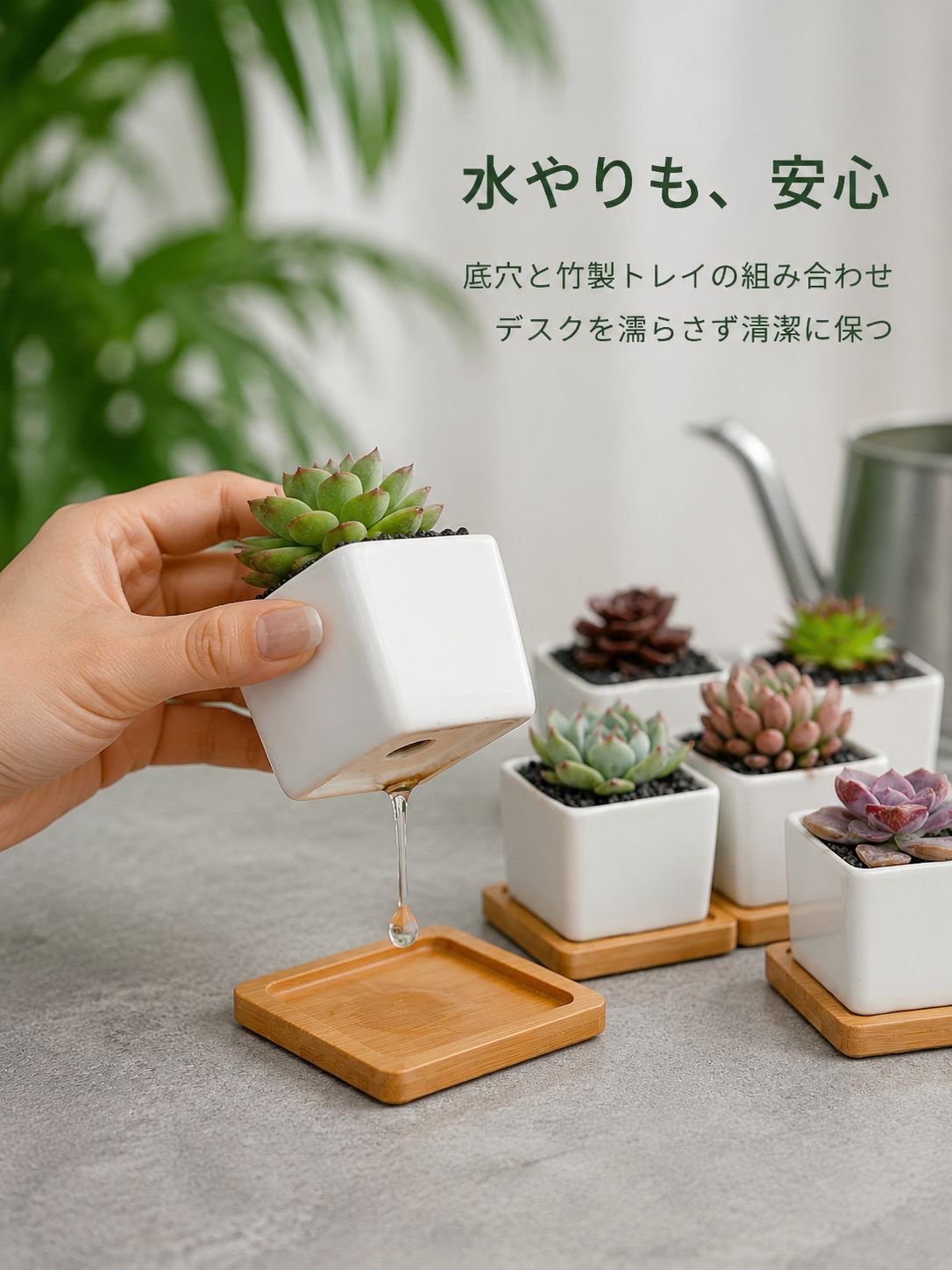 グレーズセラミック多肉植物鉢