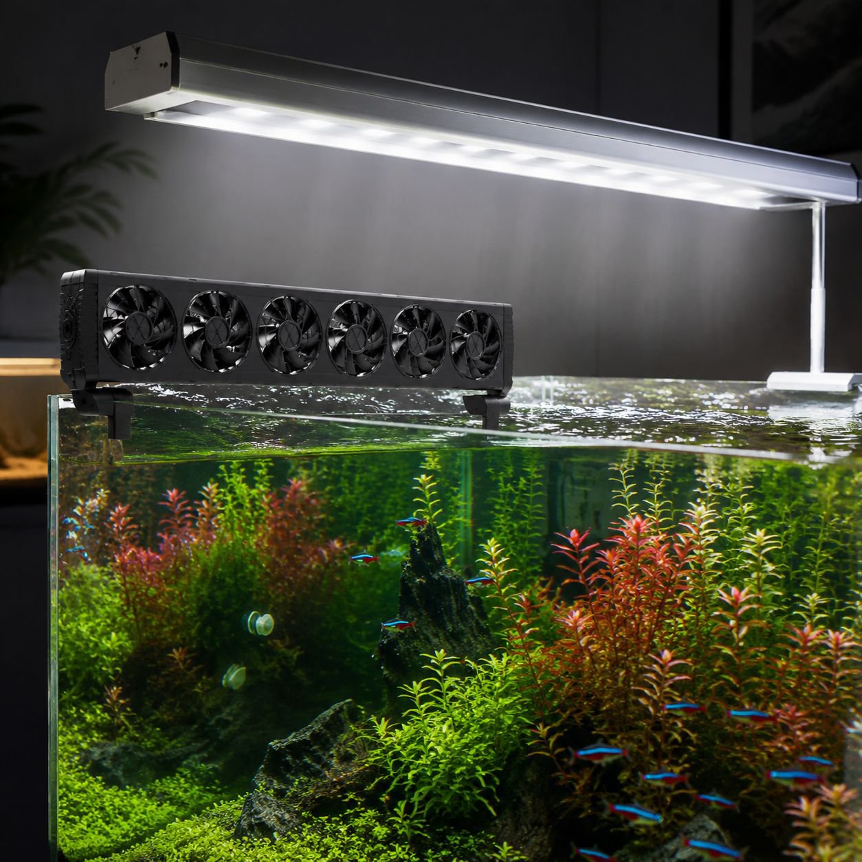 Adjustable speed fish tank fan with silent motor