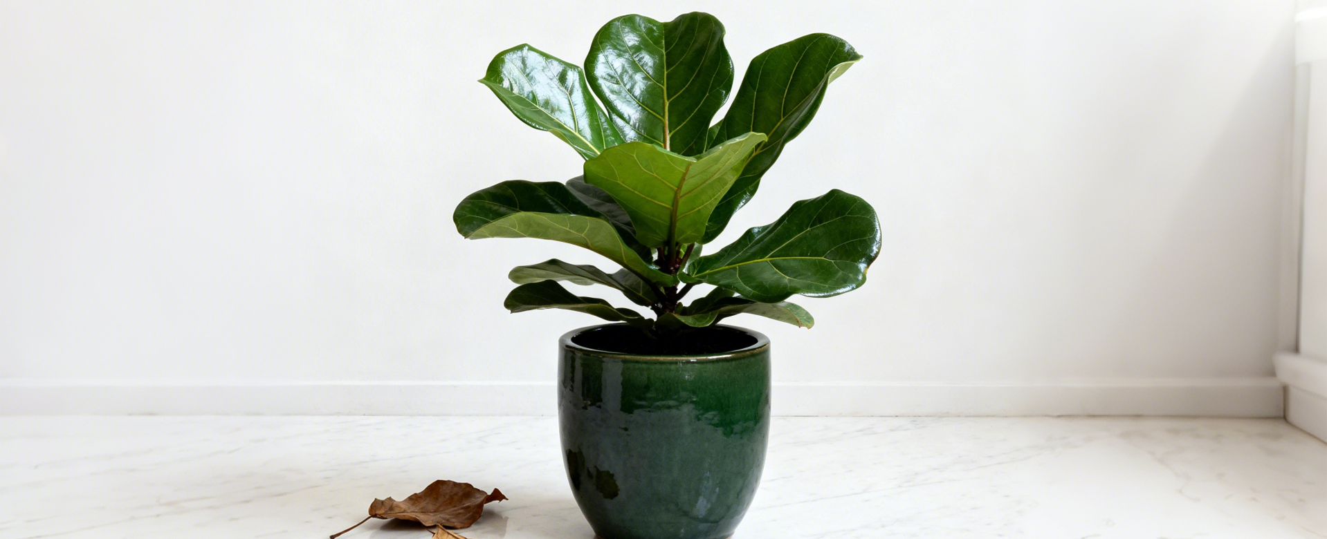 オンラインショッピングモール