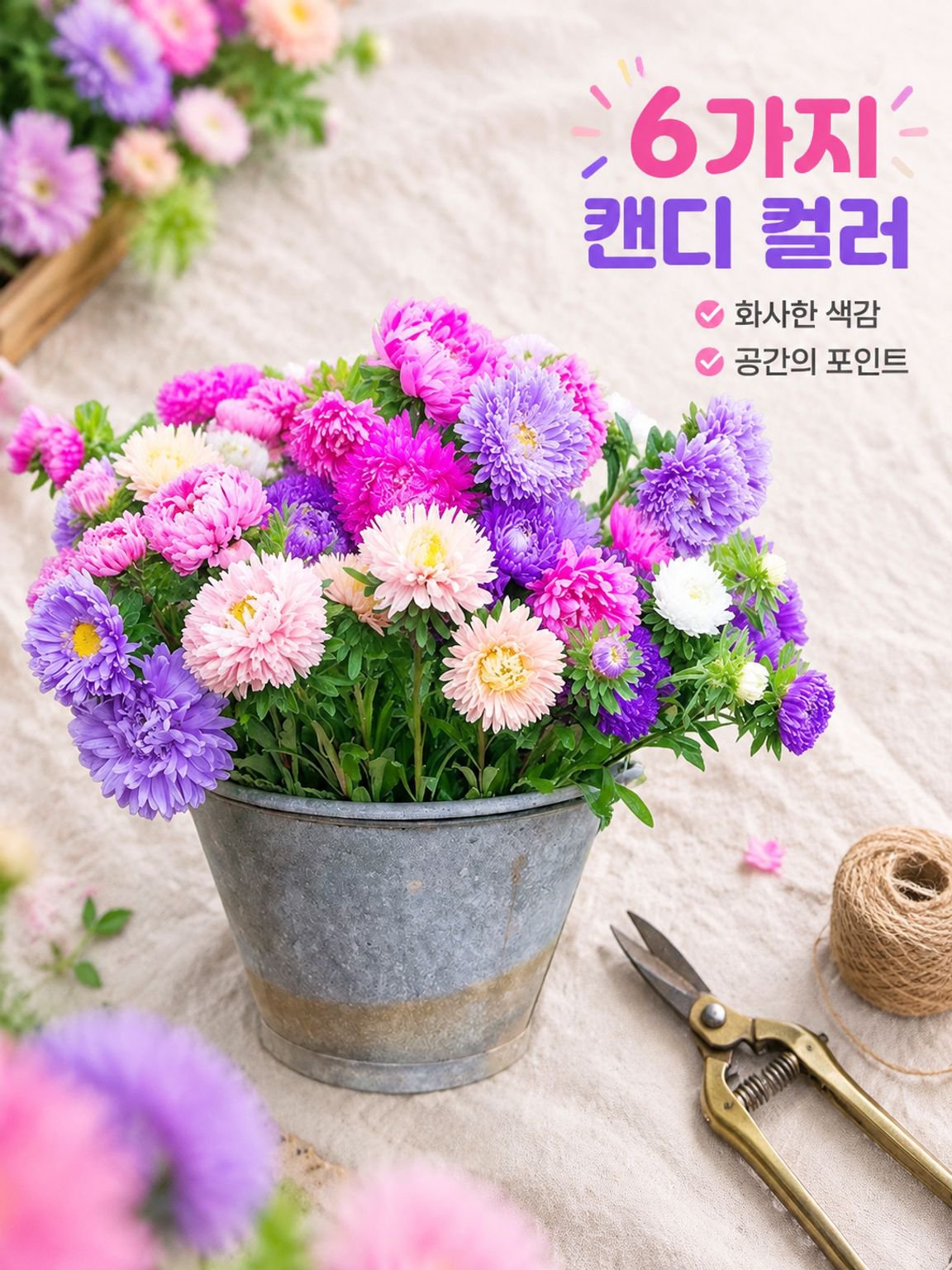 다채로운 캔디 화분 꽃