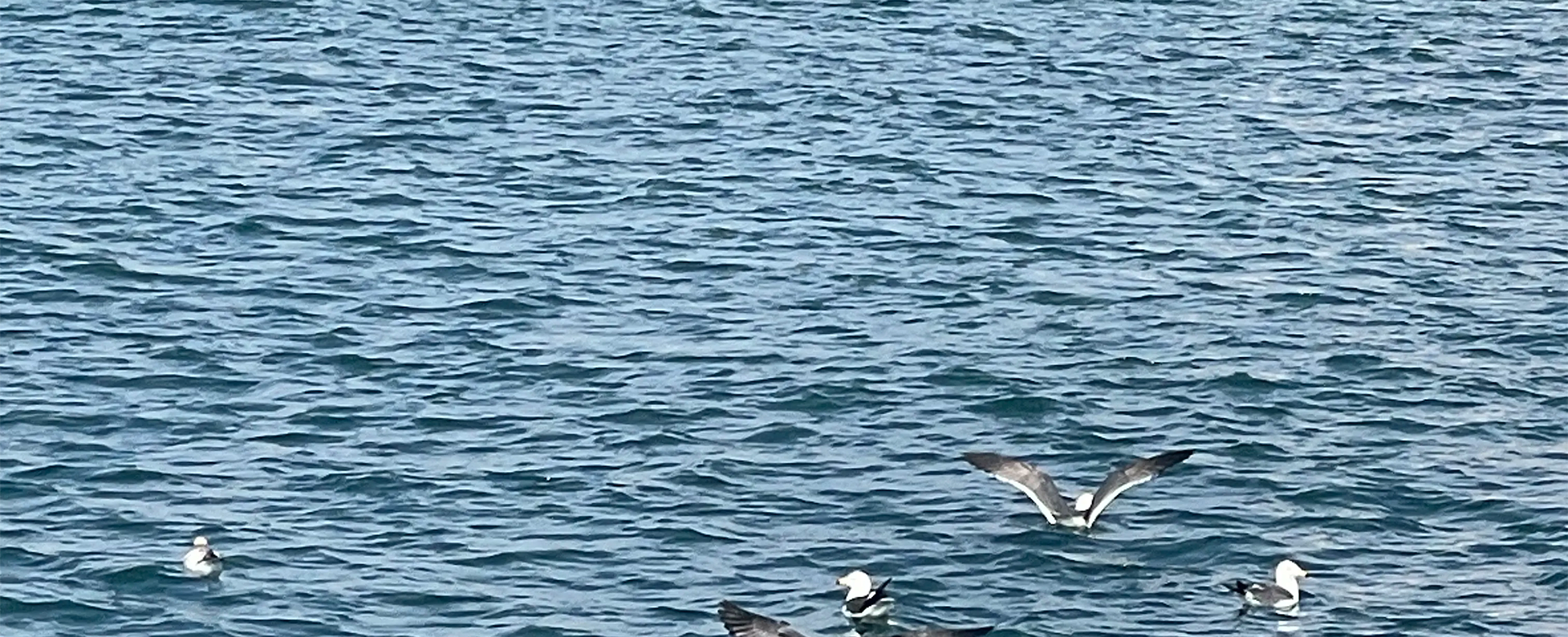 Centro comercial en línea