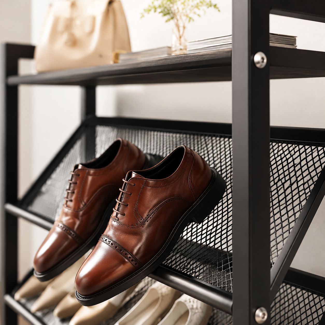 Modern mesh shoe cabinet behind door