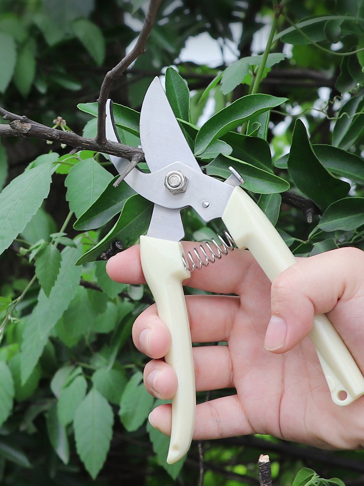 オンラインショッピングモール