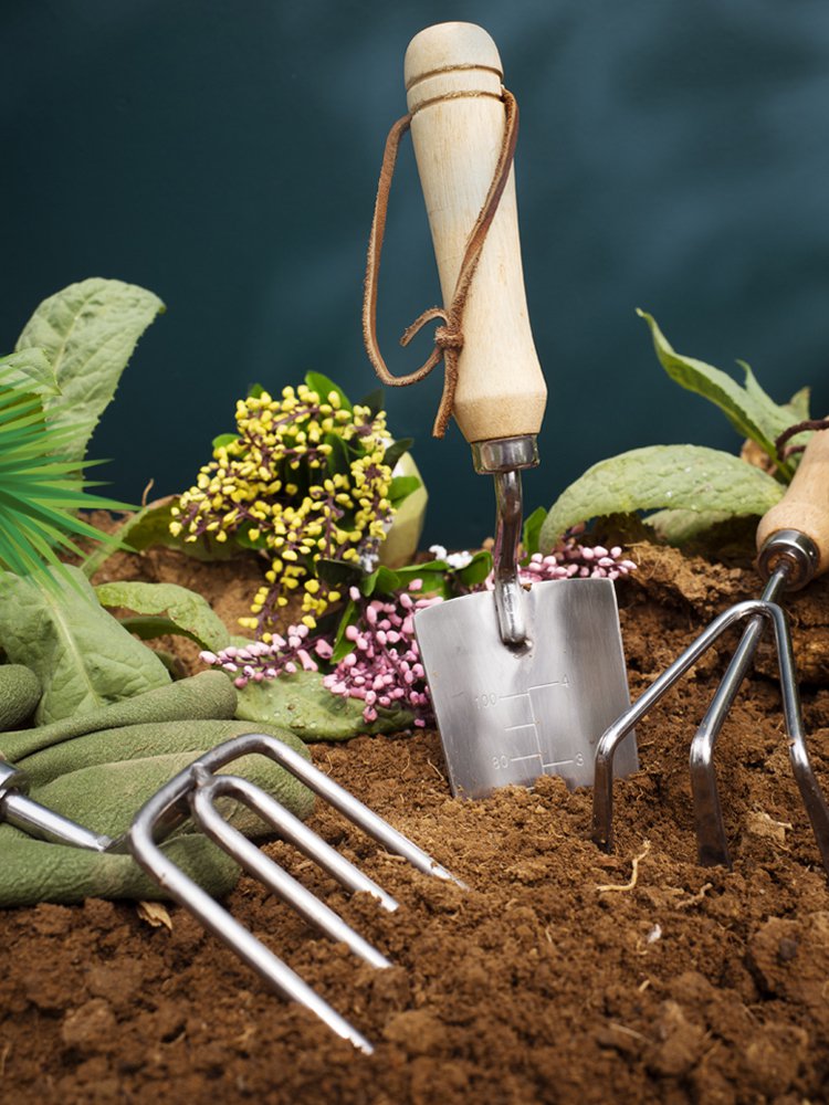 オンラインショッピングモール