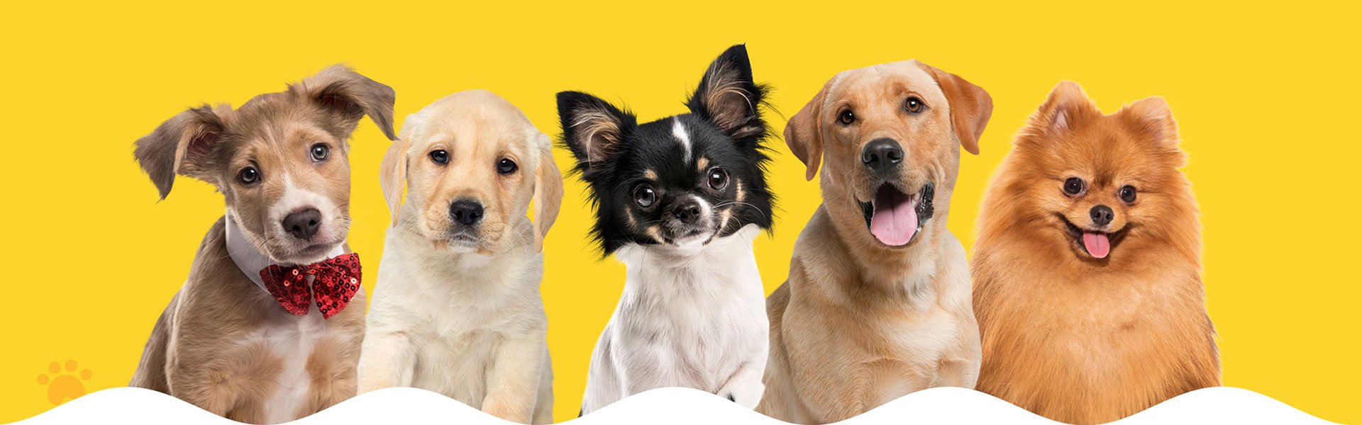 ศูนย์การค้าออนไลน์