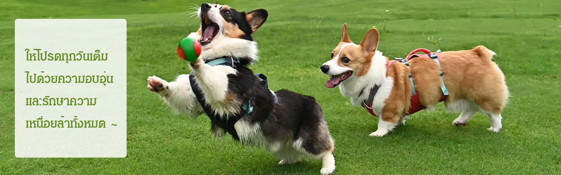 ศูนย์การค้าออนไลน์