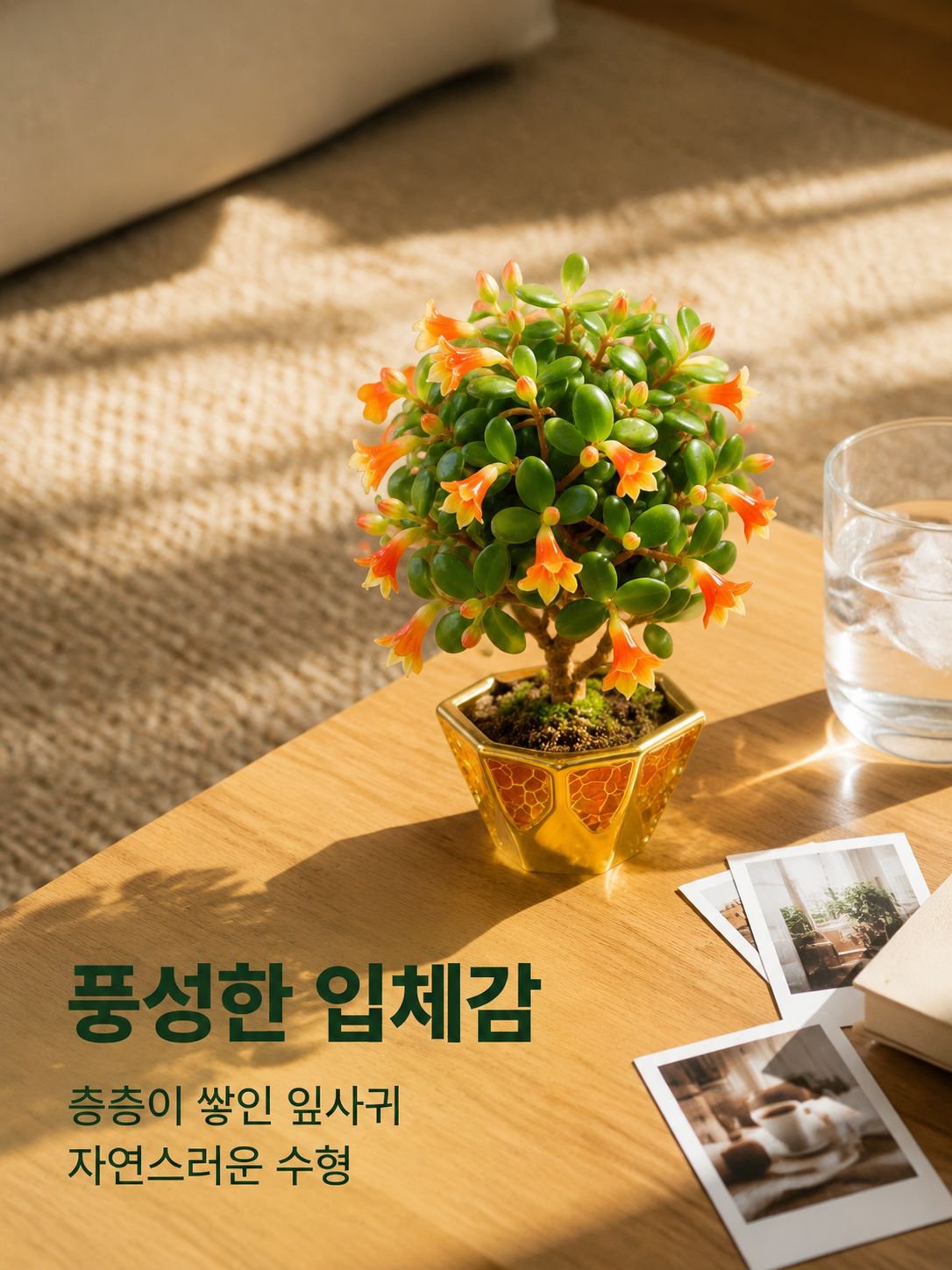 세인트 존스 워트 분재