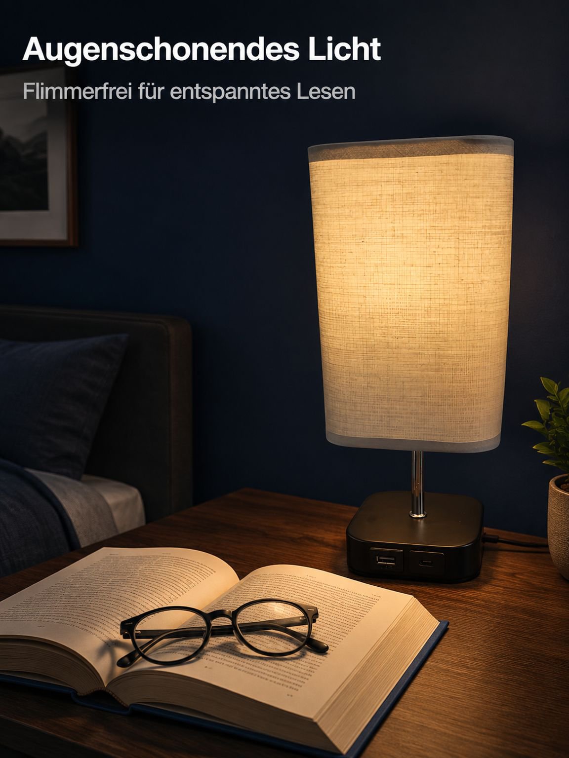 Tischlampe mit Dual-Adapter Hochspannungsaufladung privates Modell dreistufig dimmbar