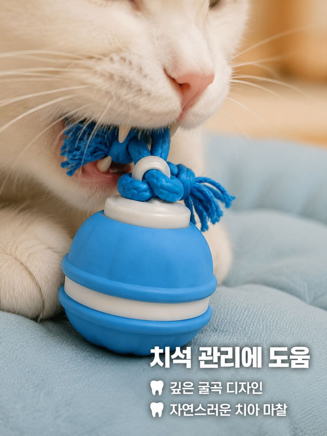내구성이 뛰어난 고양이 장난감 공