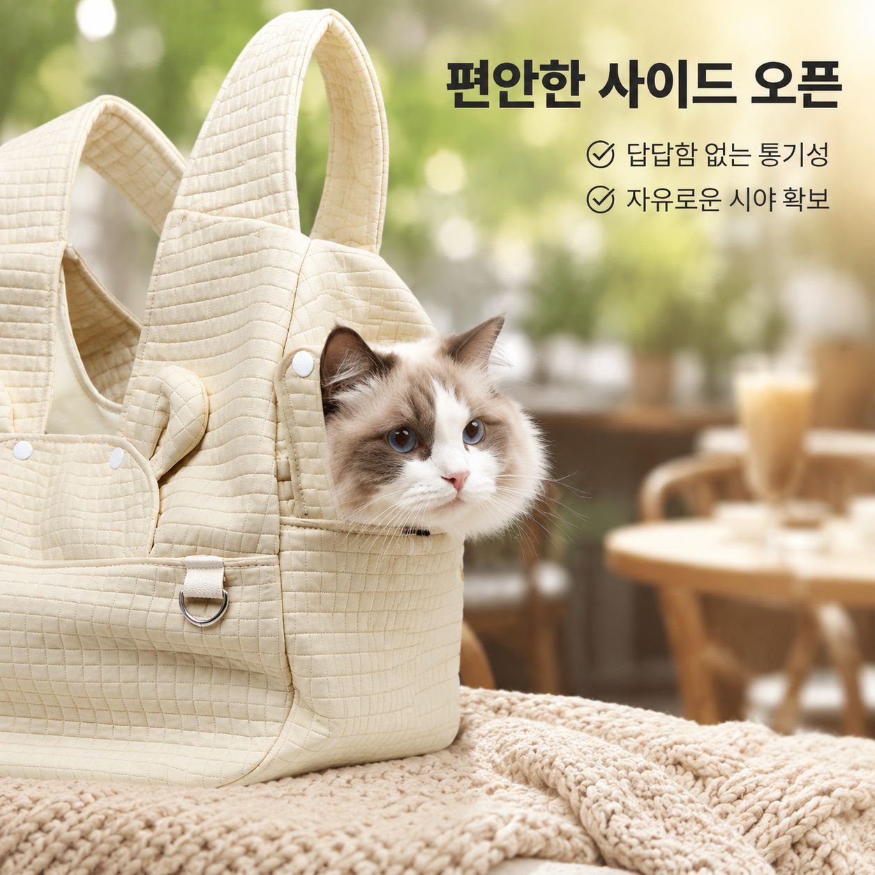 고양이 소형견 전용 통기성 외출 백팩