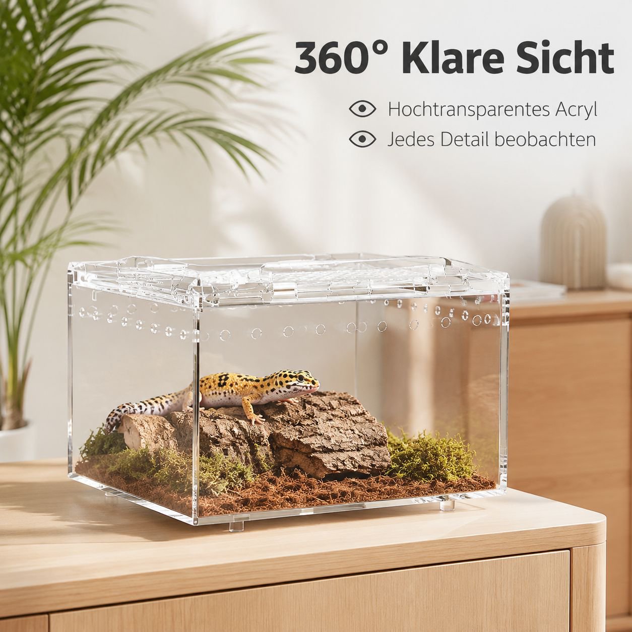 Acryl Hochtransparente Zuchtbox PC Box