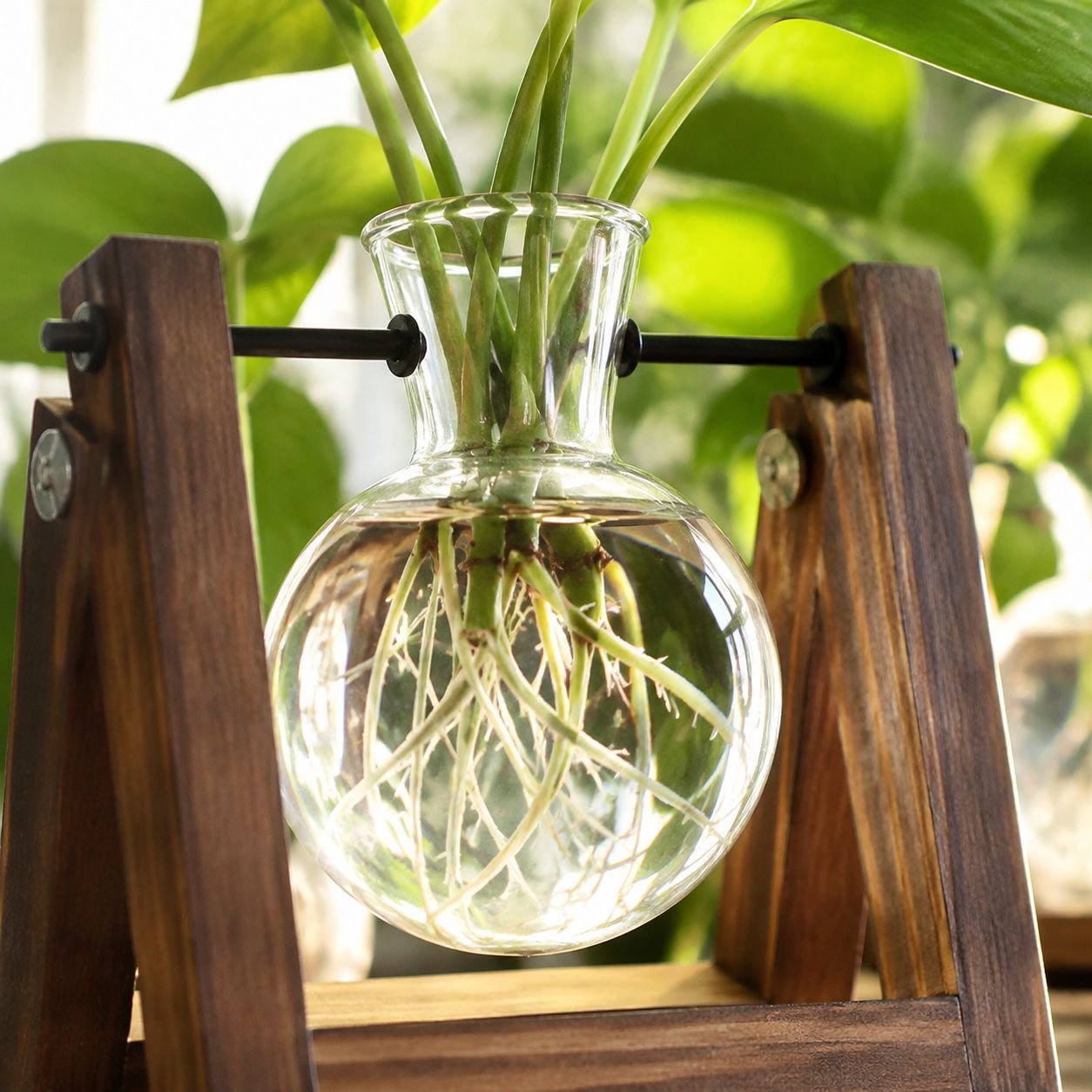 Jarrón de vidrio moderno para hidroponía, ideal para decoración de oficina y hogar