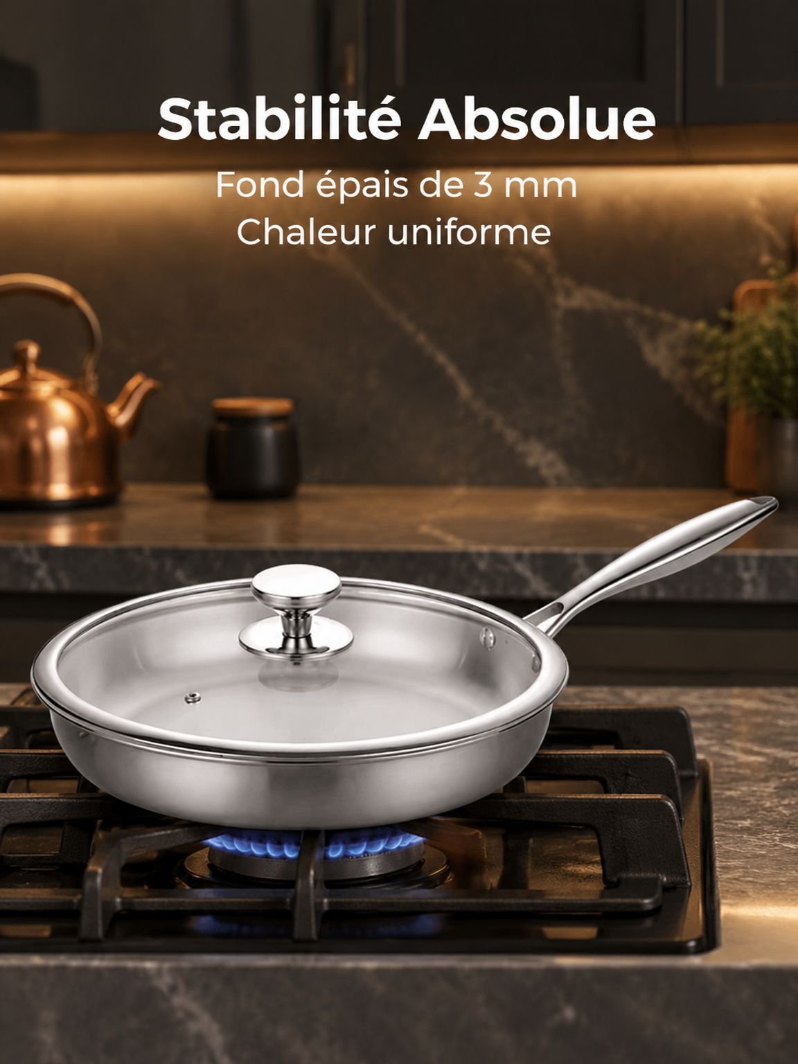 Vue d'ensemble de la poêle sans revêtement en acier inoxydable 316