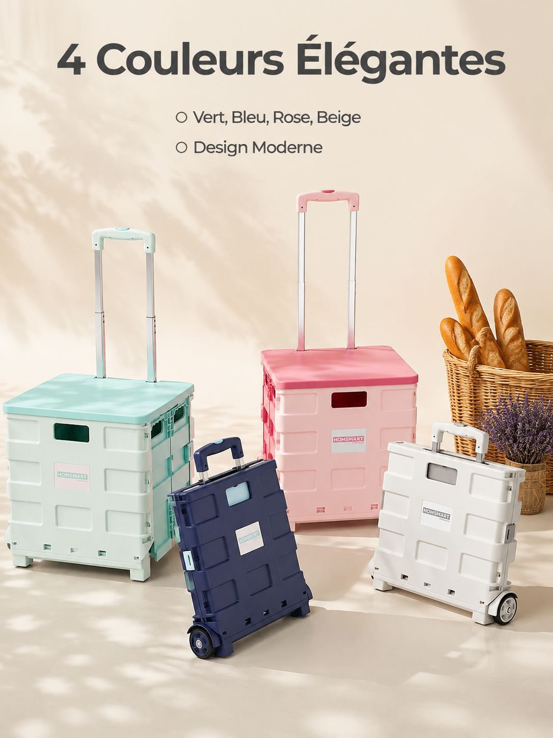 Petit chariot portable pour faire les courses