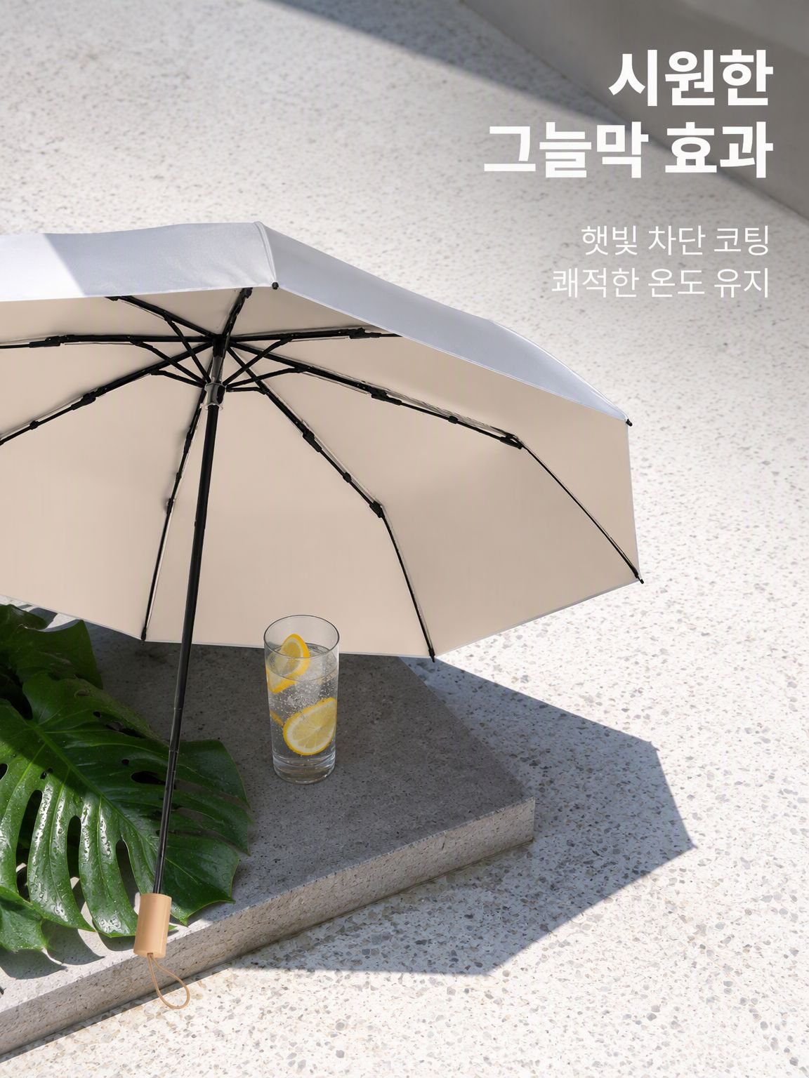티타늄 실버 이중 레이어 우산
