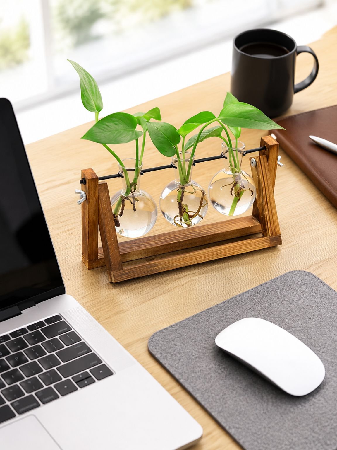 Accesorio decorativo para oficinas y escritorios