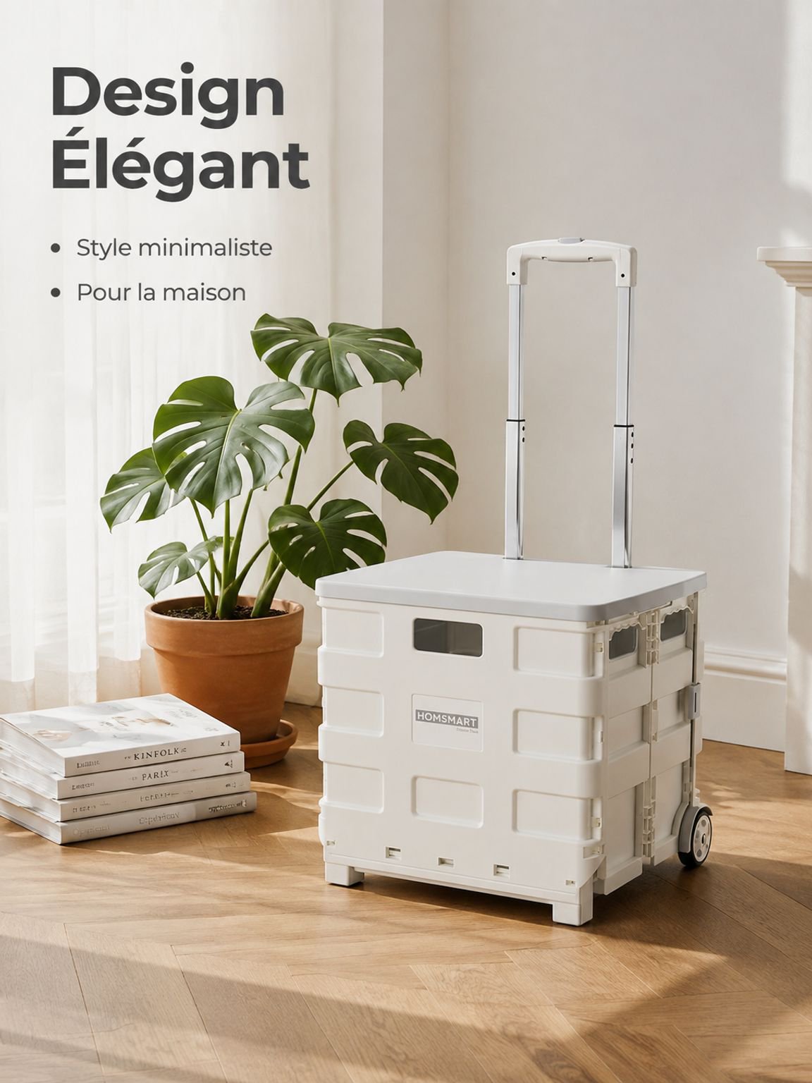 Petit chariot portable pour faire les courses